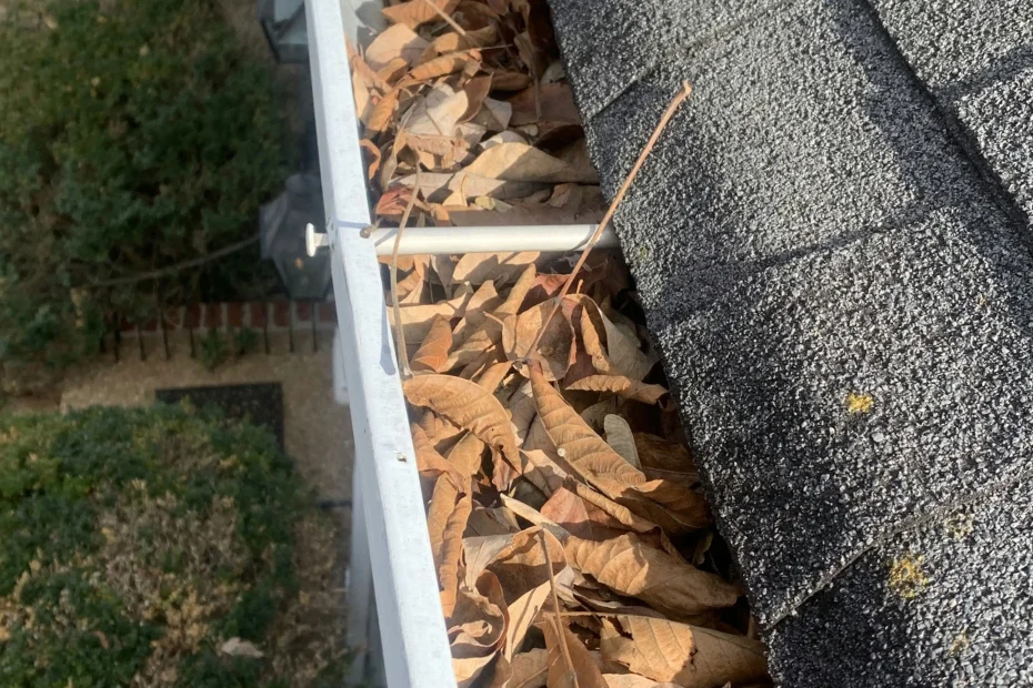 Gutter Cleaning Burgaw