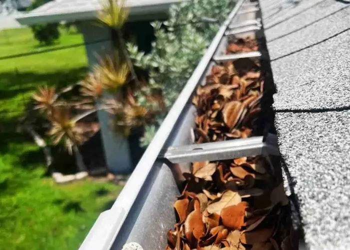 Gutter Cleaning Burgaw home page